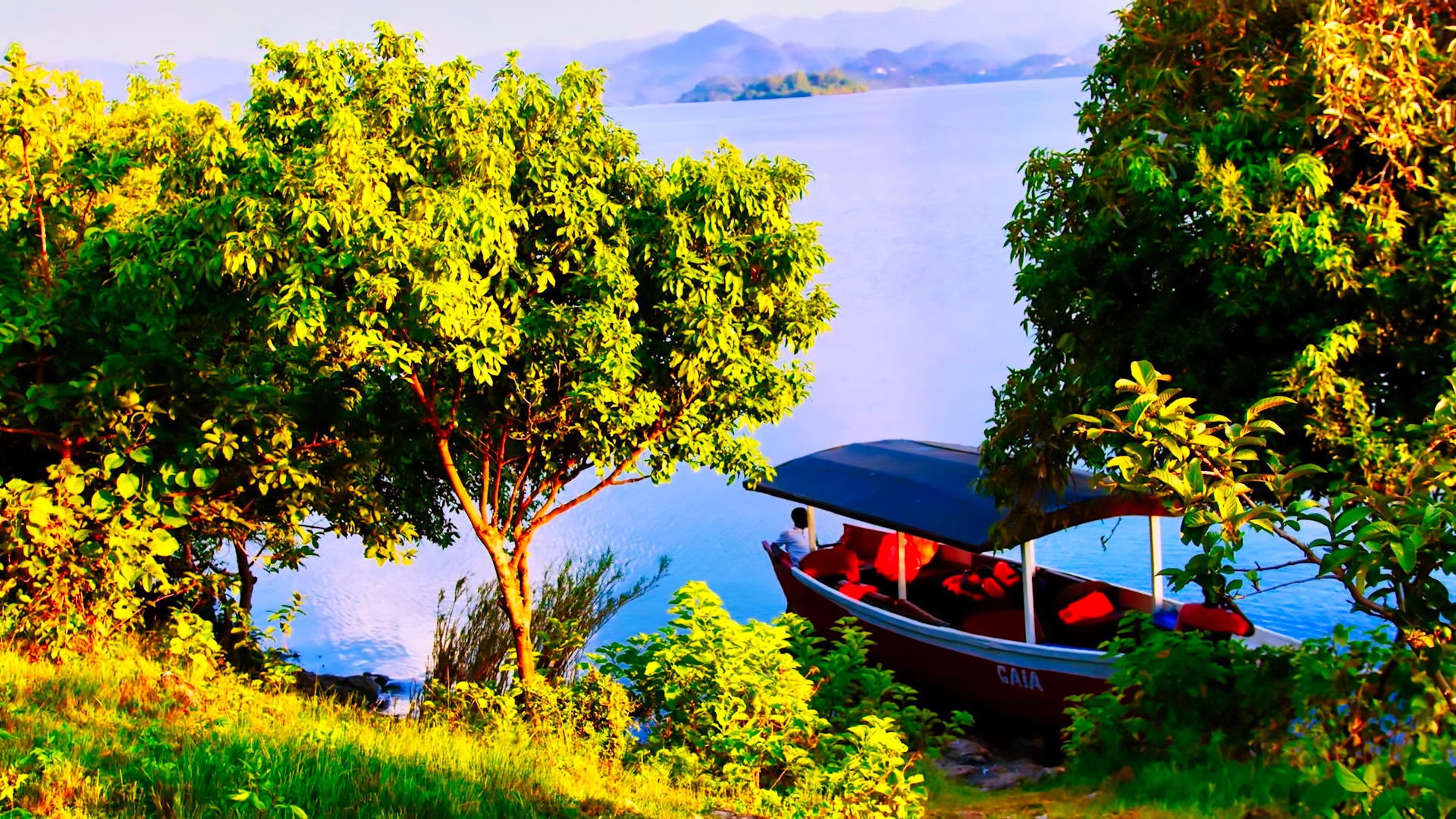 Luxury Boat Tour